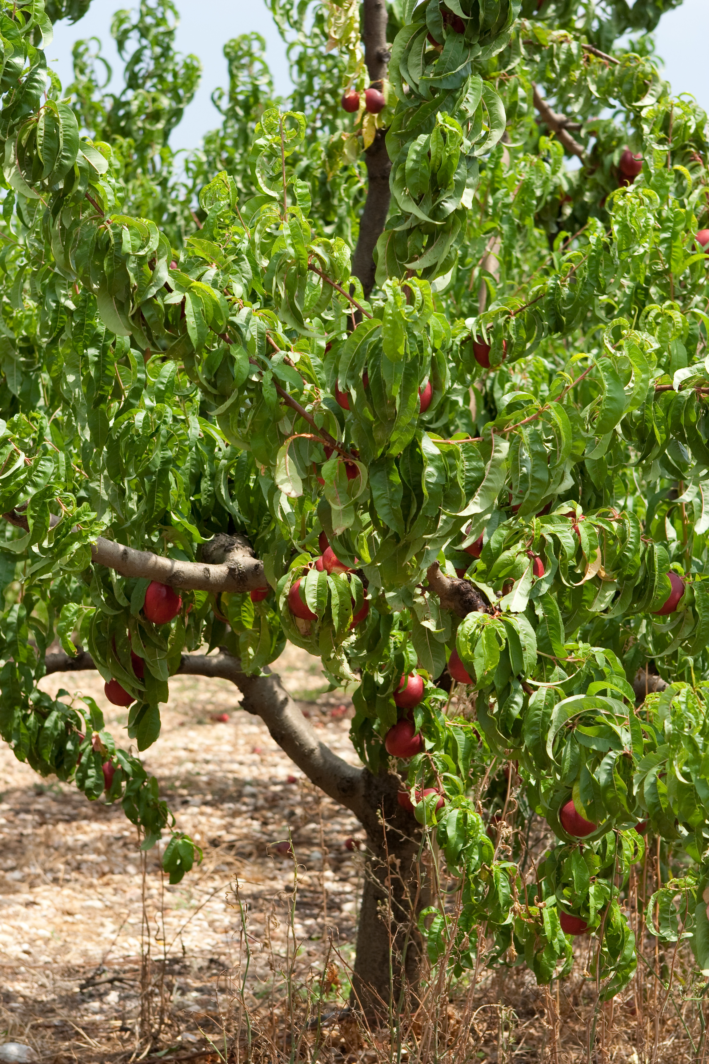 vakantie 2009 ontdekkingsreis-026.jpg